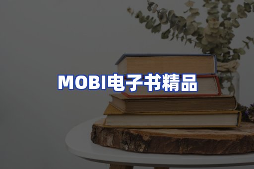 外文电子书产品